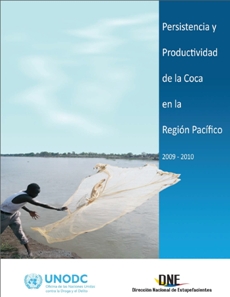 Persistencia y productividad de la coca en la Región Pacífico 2009 - 2010